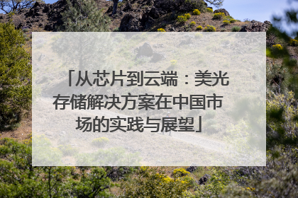 从芯片到云端：美光存储解决方案在中国市场的实践与展望