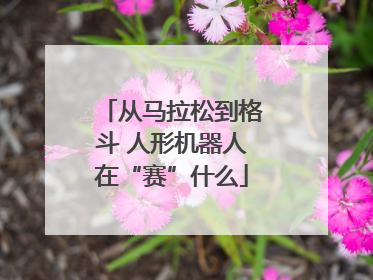 从马拉松到格斗 人形机器人在“赛”什么