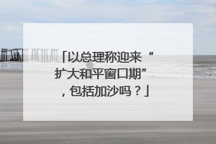 以总理称迎来“扩大和平窗口期”，包括加沙吗？