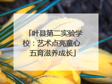 叶县第二实验学校：艺术点亮童心 五育滋养成长