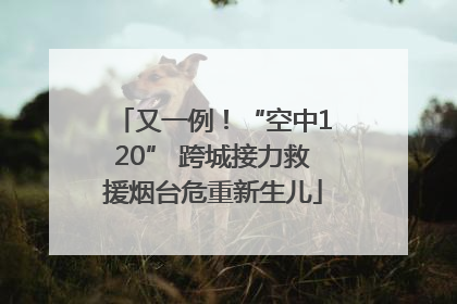 又一例！“空中120” 跨城接力救援烟台危重新生儿