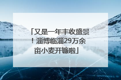又是一年丰收盛景！淄博临淄29万余亩小麦开镰啦