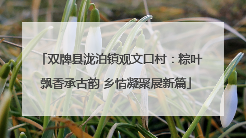 双牌县泷泊镇观文口村：粽叶飘香承古韵 乡情凝聚展新篇
