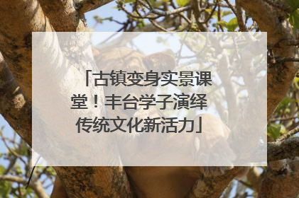古镇变身实景课堂！丰台学子演绎传统文化新活力