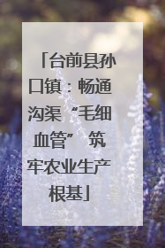 台前县孙口镇：畅通沟渠“毛细血管” 筑牢农业生产根基