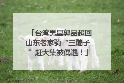 台湾男星郭品超回山东老家骑“三蹦子”赶大集被偶遇！