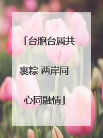 台胞台属共裹粽 两岸同心同融情