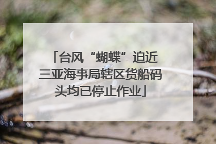 台风“蝴蝶”迫近 三亚海事局辖区货船码头均已停止作业