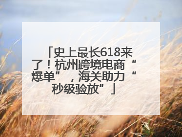史上最长618来了！杭州跨境电商“爆单”，海关助力“秒级验放”
