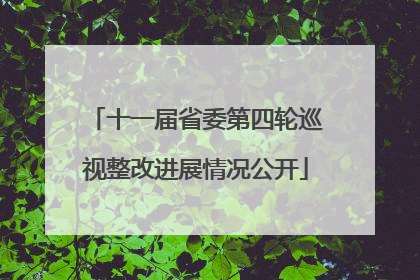 十一届省委第四轮巡视整改进展情况公开