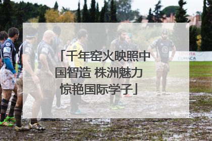千年窑火映照中国智造 株洲魅力惊艳国际学子