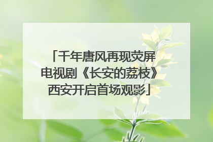 千年唐风再现荧屏 电视剧《长安的荔枝》西安开启首场观影
