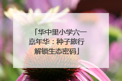 华中里小学六一嘉年华：种子旅行解锁生态密码