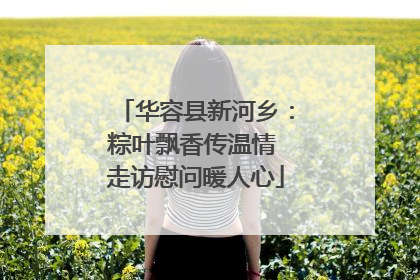 华容县新河乡：粽叶飘香传温情 走访慰问暖人心
