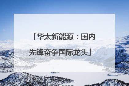华太新能源：国内先锋奋争国际龙头