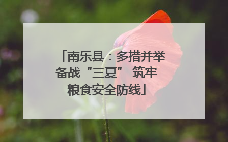 南乐县：多措并举备战“三夏” 筑牢粮食安全防线