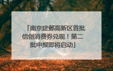 南京建邺高新区首批信创消费券兑现！第二批申报即将启动