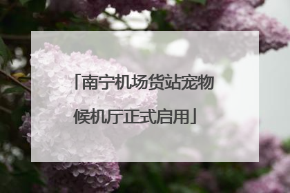南宁机场货站宠物候机厅正式启用