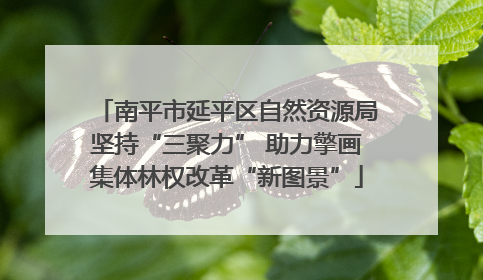 南平市延平区自然资源局坚持“三聚力” 助力擎画集体林权改革“新图景”