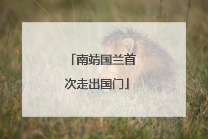 南靖国兰首次走出国门
