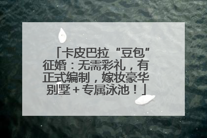 卡皮巴拉“豆包”征婚：无需彩礼，有正式编制，嫁妆豪华别墅＋专属泳池！