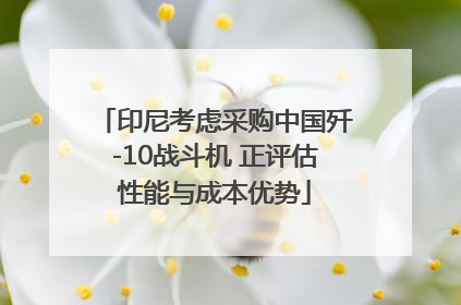 印尼考虑采购中国歼-10战斗机 正评估性能与成本优势
