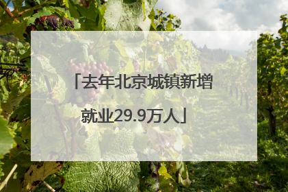去年北京城镇新增就业29.9万人