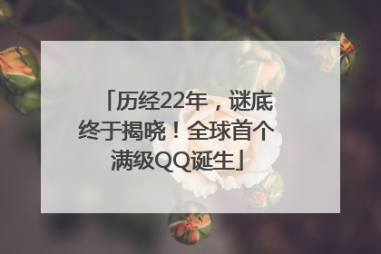 历经22年，谜底终于揭晓！全球首个满级QQ诞生
