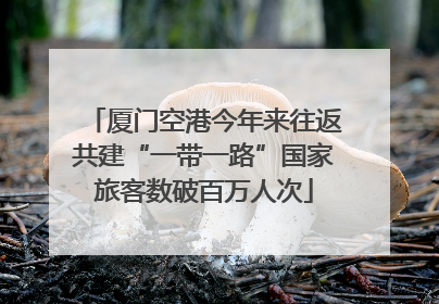 厦门空港今年来往返共建“一带一路”国家旅客数破百万人次