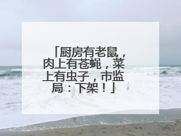 厨房有老鼠，肉上有苍蝇，菜上有虫子，市监局：下架！