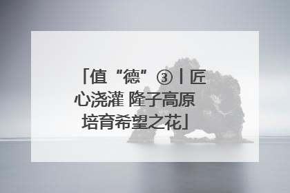 值“德”③丨匠心浇灌 隆子高原培育希望之花