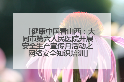 健康中国看山西：大同市第六人民医院开展安全生产宣传月活动之网络安全知识培训