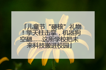 儿童节“硬核”礼物！擎天柱击掌，机器狗空翻……这所学校把未来科技搬进校园