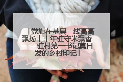 党旗在基层一线高高飘扬丨十年驻守米飘香——驻村第一书记莫日发的乡村印记