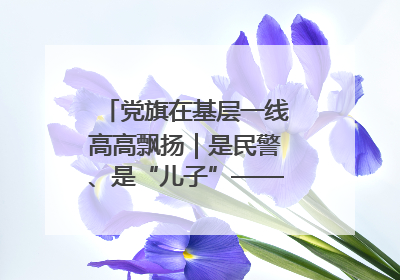 党旗在基层一线高高飘扬｜是民警、是“儿子”——申飞飞在太行山中的一线坚守