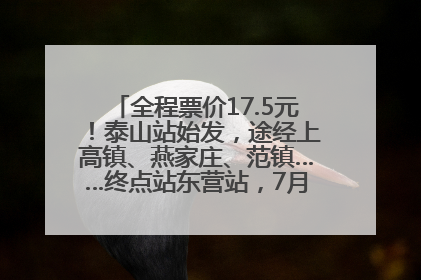 全程票价17.5元！泰山站始发，途经上高镇、燕家庄、范镇……终点站东营站，7月1日开通！