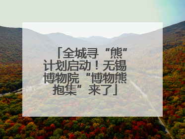 全城寻“熊”计划启动！无锡博物院“博物熊抱集”来了