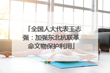 全国人大代表王志强：加强东北抗联革命文物保护利用