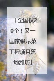 全国仅20个！又一国家级示范工程项目落地潍坊