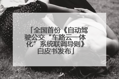 全国首份《自动驾驶公交“车路云一体化”系统联调导则》白皮书发布