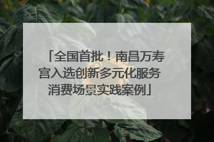 全国首批！南昌万寿宫入选创新多元化服务消费场景实践案例