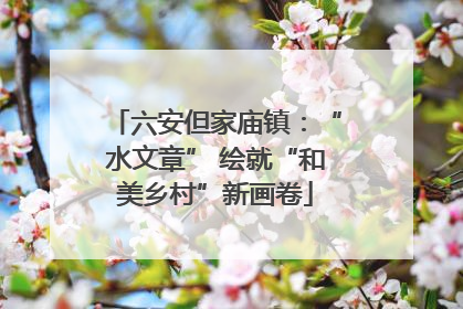 六安但家庙镇：“水文章” 绘就“和美乡村”新画卷