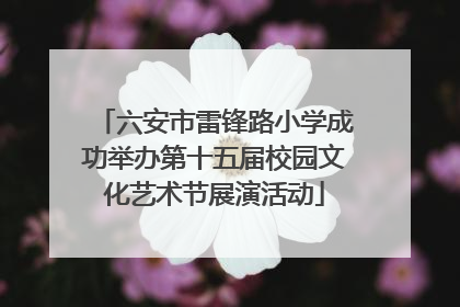 六安市雷锋路小学成功举办第十五届校园文化艺术节展演活动