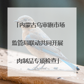 内蒙古乌审旗市场监管局联动共同开展肉制品专项检查