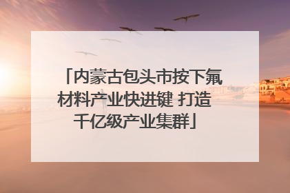 内蒙古包头市按下氟材料产业快进键 打造千亿级产业集群