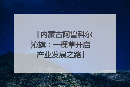内蒙古阿鲁科尔沁旗：一棵草开启产业发展之路