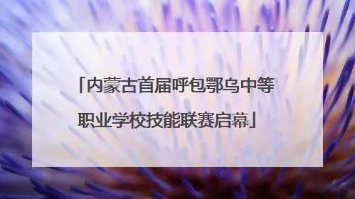 内蒙古首届呼包鄂乌中等职业学校技能联赛启幕