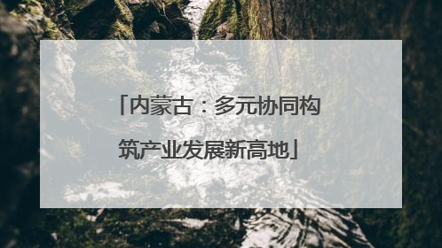 内蒙古：多元协同构筑产业发展新高地
