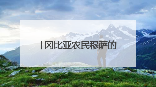 冈比亚农民穆萨的故事，是“中非友好的一段佳话”