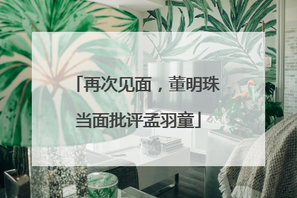 再次见面，董明珠当面批评孟羽童